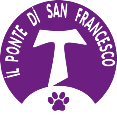 ponte di San Francesco